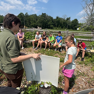 students learning on the farm