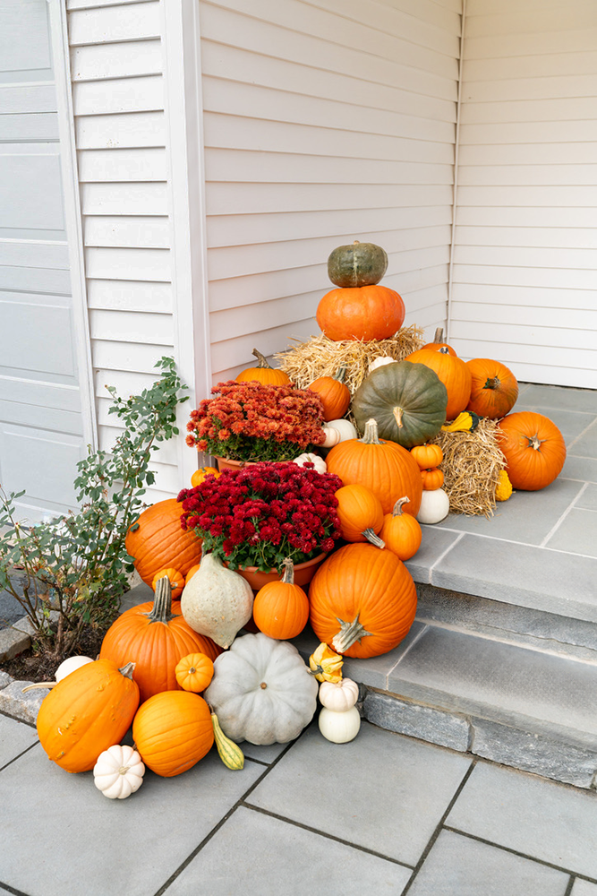 Thumbnail: Mums: Add-On