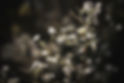 corporate events bkgd2.jpg