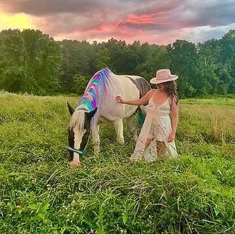 our story - refuge where both animals and people can slow down, breathe deeper, and reconn