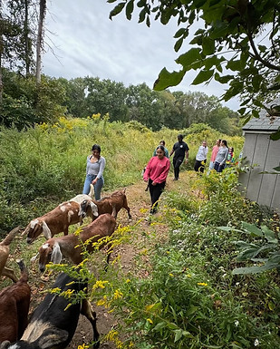 our story_refuge where animals can slow down, breathe deeper, and reconnect