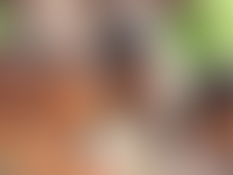 5 Charities Operating in Jamaica