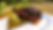 Comida Mexicana 2.png