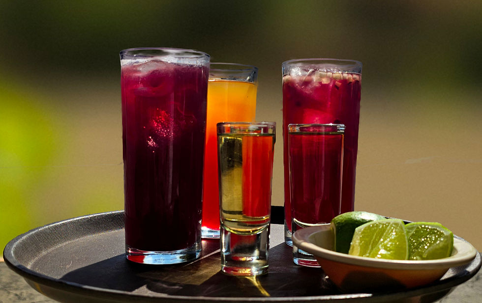 Bebidas Preparadas
