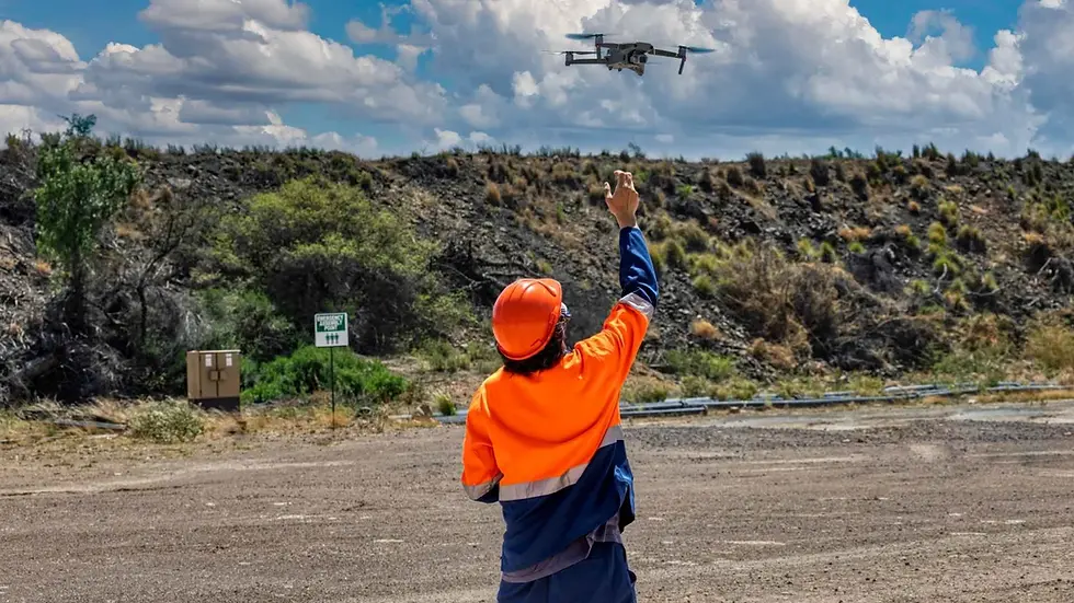 drone inspection