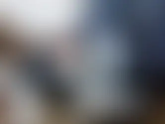 What is a TN Visa and how it works