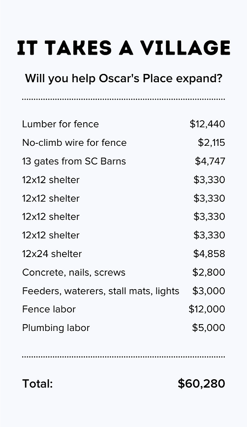 Oscar's Place ITAV Receipt - updated (2)_edited.png