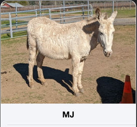 Screen Shot 2022-03-19 at 7.49_edited.jpg