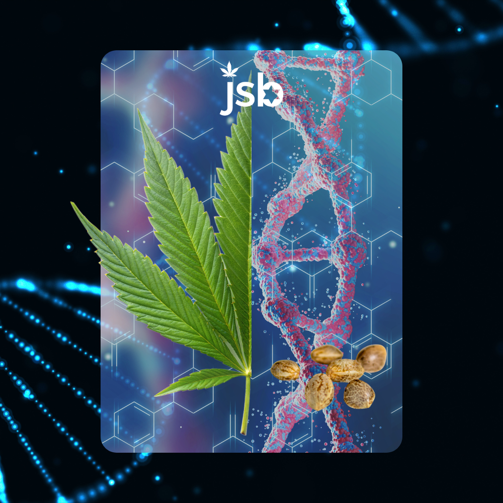 JSB Cannabis Lineage Icon B.png