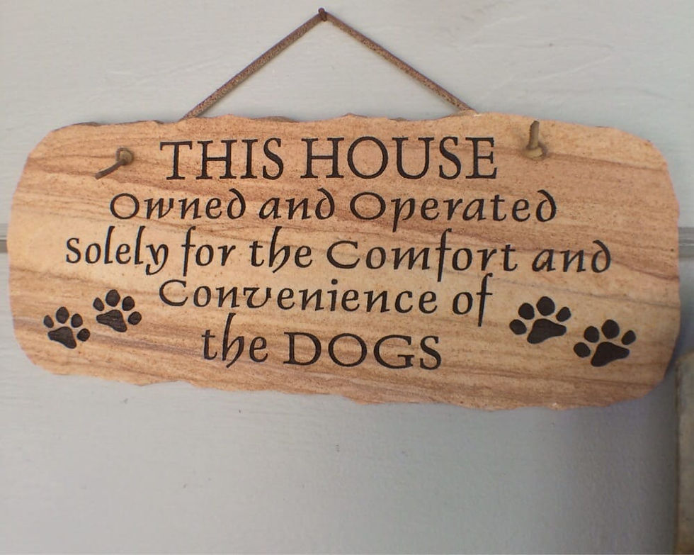 Wooden sign hanging on a wall with engraved text that reads, "THIS HOUSE Owned and Operated solely for the Comfort and Convenience of the DOGS," accented by black paw prints on both sides. The sign humorously emphasizes a dog-friendly home environment.