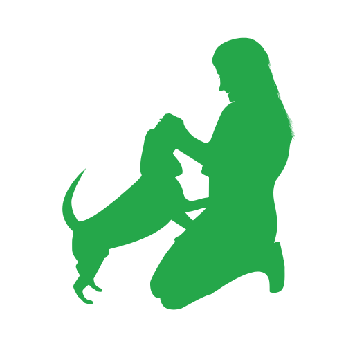 woman-training-beagle-icon-green