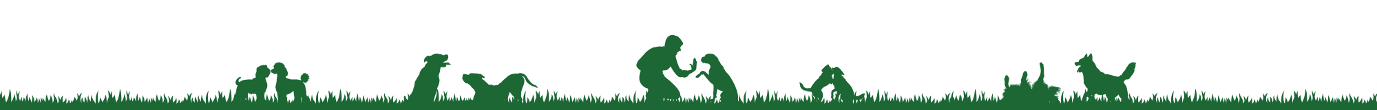 Silhouette of RTPG staff playing with dogs (section divider green)