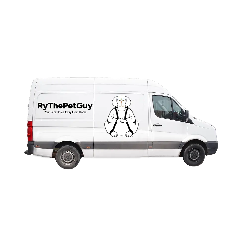 White service van with RyThePetGuy wordmark and mascot logos on the sides of the van. The van is featuring the door to door p