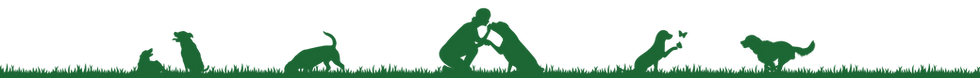 Silhouettes of dogs and woman playing (section divider in dark green)