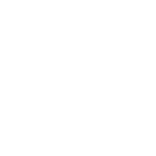Spaniel icon (white)