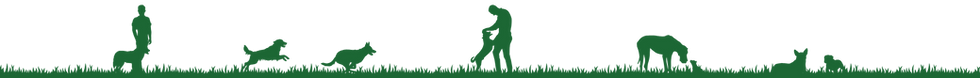 Silhouettes of dogs and men playing (section divider in dark green)