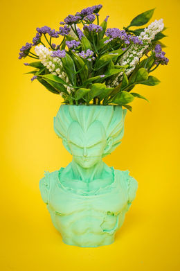 2023.05-Impressions 3D T.Robinson-img_3585.jpg