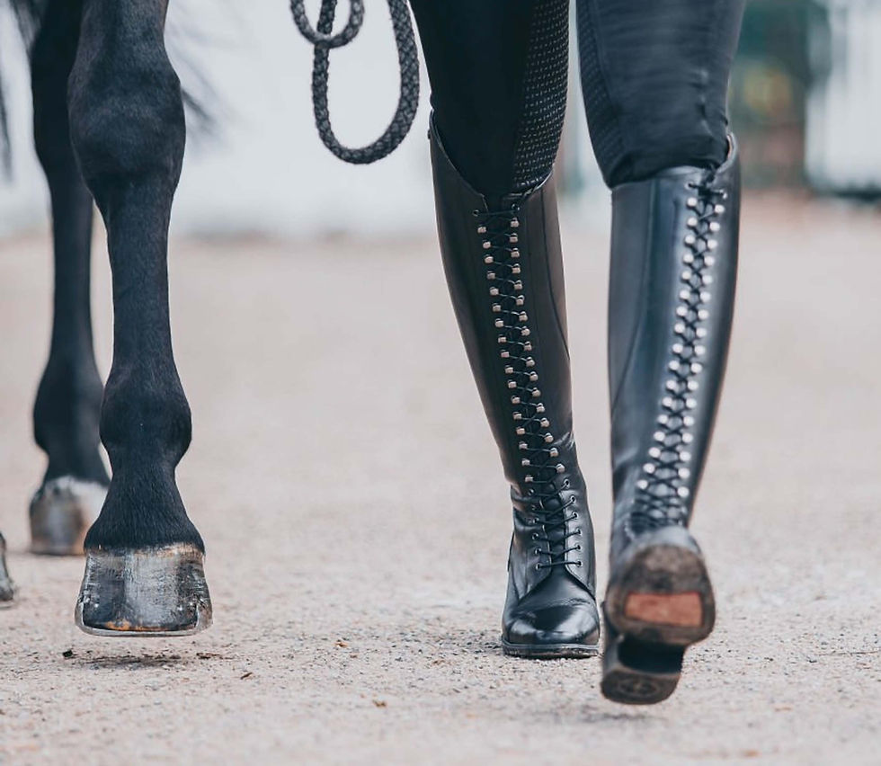 Miniaturbild: SUEDWIND Lederreitstiefel LEGACY VENADO