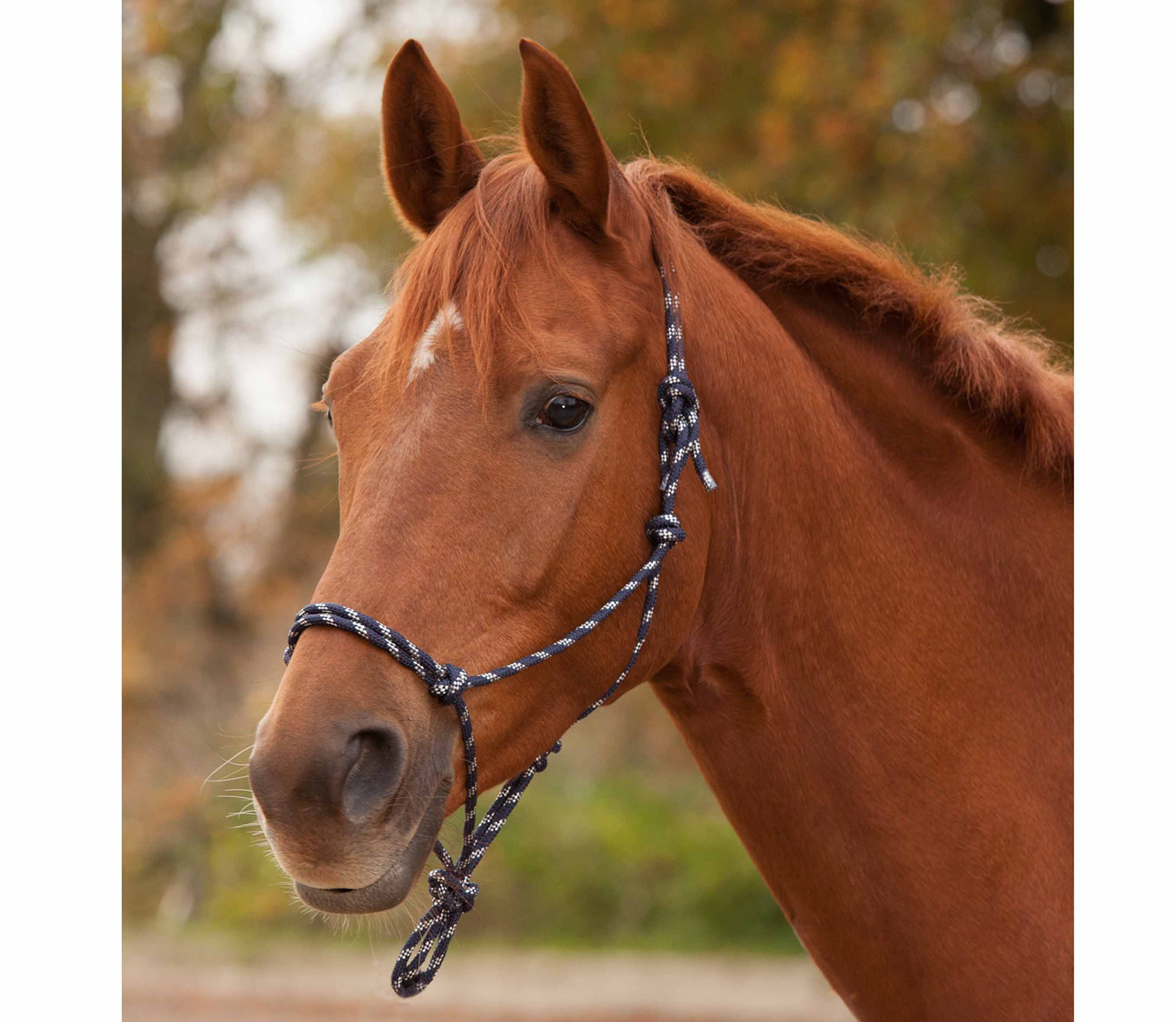 Waldhausen Knotenhalfter