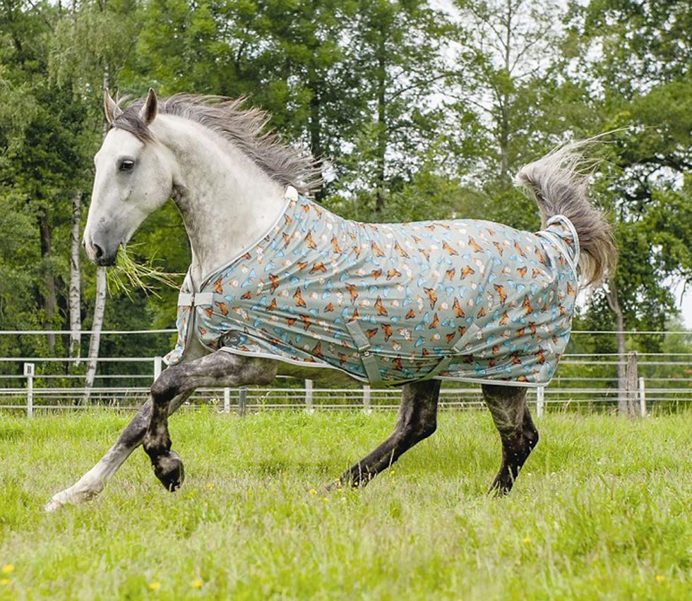 HKM Fliegendecke BUTTERFLY