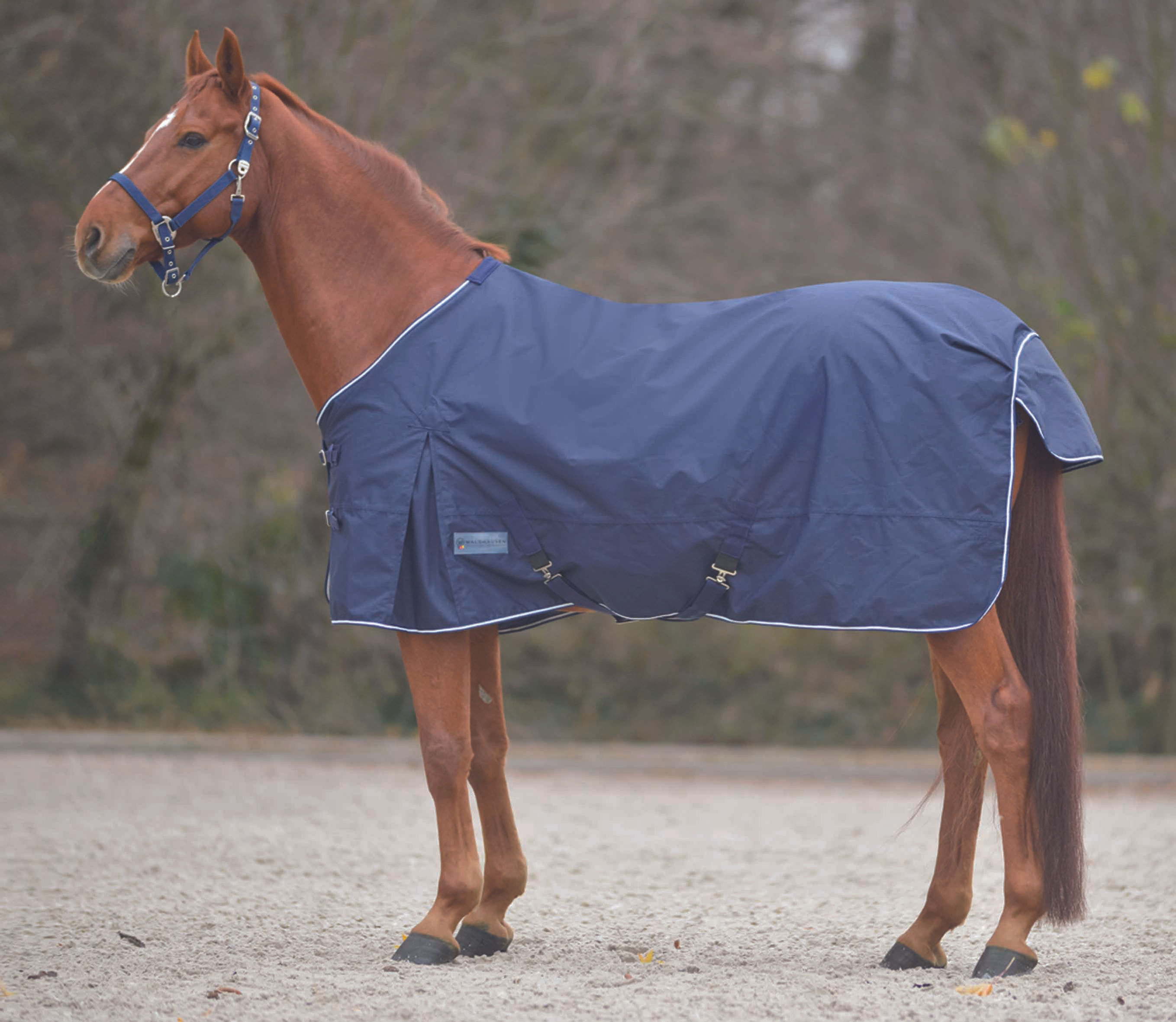 Waldhausen Regendecke