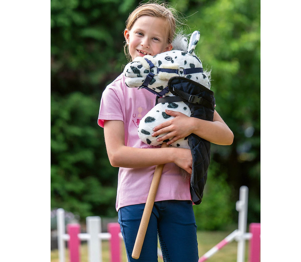 Miniaturbild: HOBBY HORSING Decke