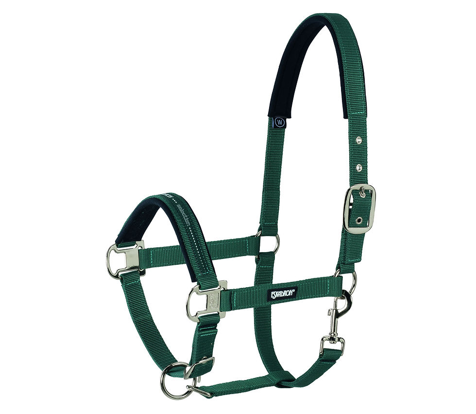 Miniaturbild: ESKADRON Halfter PIN BUCKLE BASIC