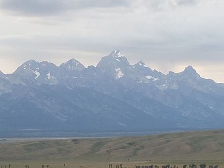 Jackson Hole - It's What You've Heard and More