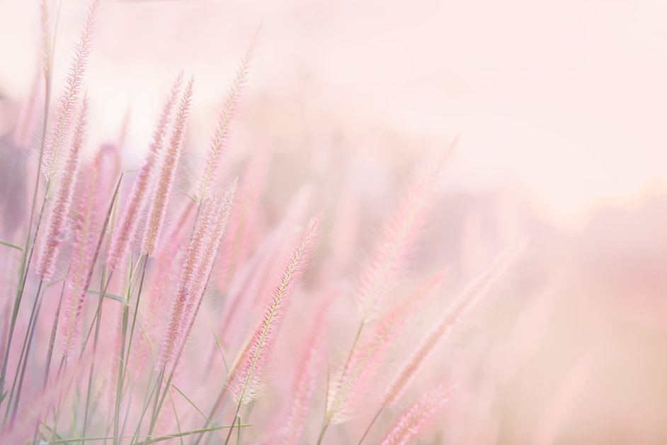 AdobeStock_191007574.jpeg