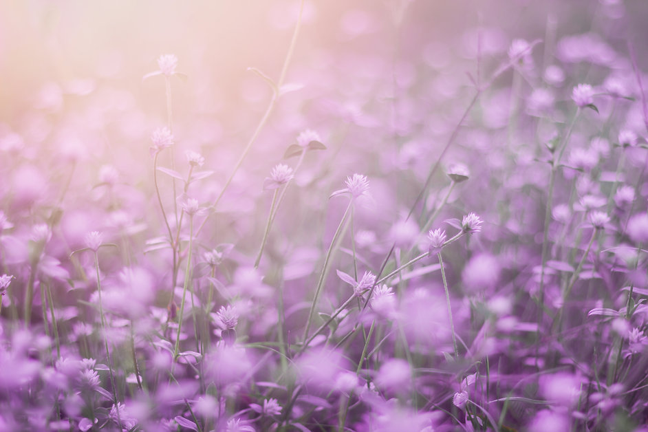 AdobeStock_311110609.jpeg