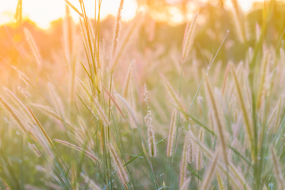 AdobeStock_191007606.jpeg