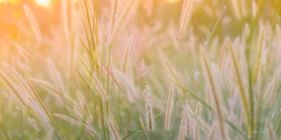 Theta Healing® Formation Faire Croître Vos Relations: Toi & le Créateur (en ligne)