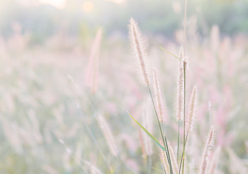 AdobeStock_191007571.jpeg