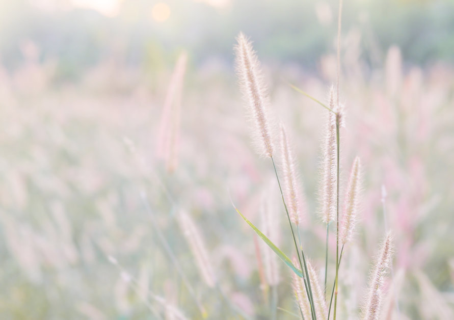 AdobeStock_191007571.jpeg