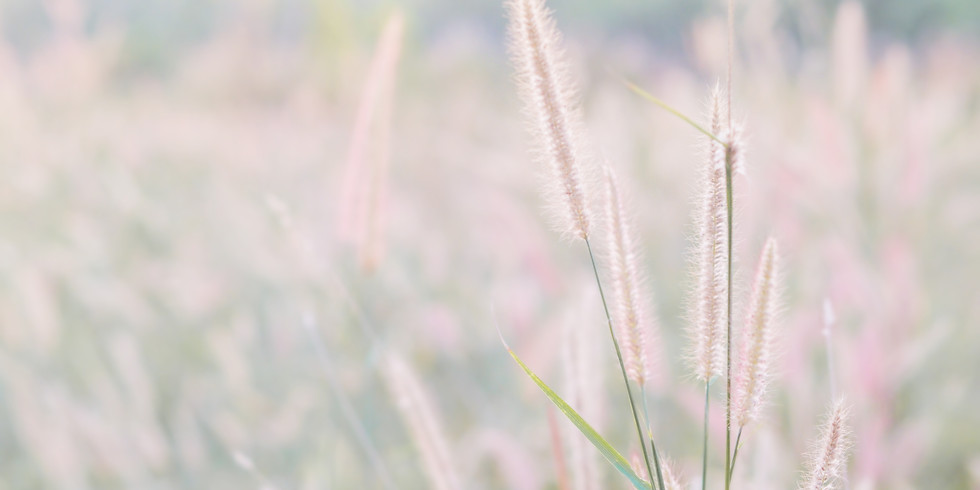 Theta Healing® Formation Ame Soeur (en ligne)