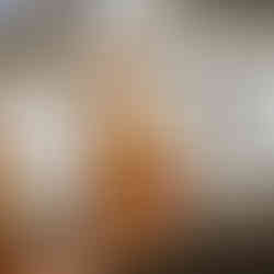 Blake's Orchard and Cider Mill captured by Hour Detroit