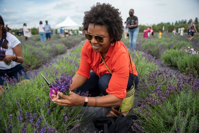 Woman at Blakes Lavender Festival capture by the Detroit News