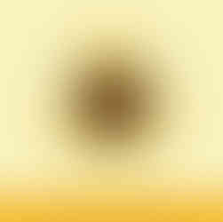 Blake's Sunflower Festival 2025