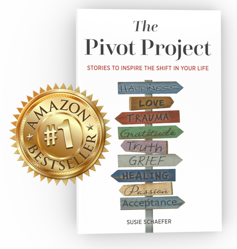 Schaefer_The Pivot Project_cover Flat 3D_+BS_edited