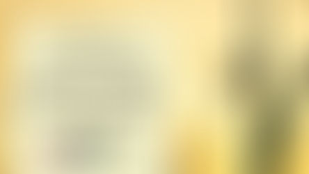 What You Need to Know Before Getting a Book Design Quote