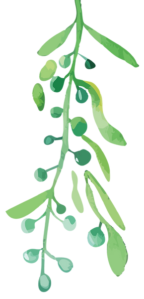 AdobeStock_1198694414_6_edited.png