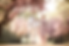 Bildschirmfoto 2024-08-22 um 09.37.20.png