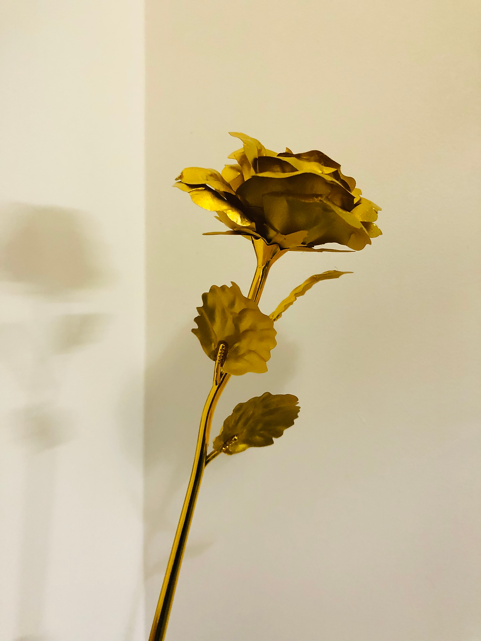 Thumbnail: Golden Rose 24K edition