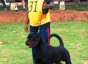 WhatsApp Image 2022-09-06 at 15.19.33 (2).jpeg