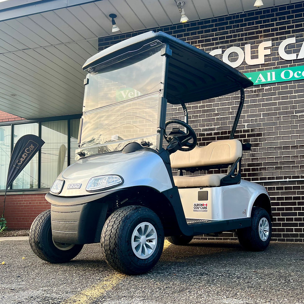 2023 EZGO RXV GAS albiongolfcars