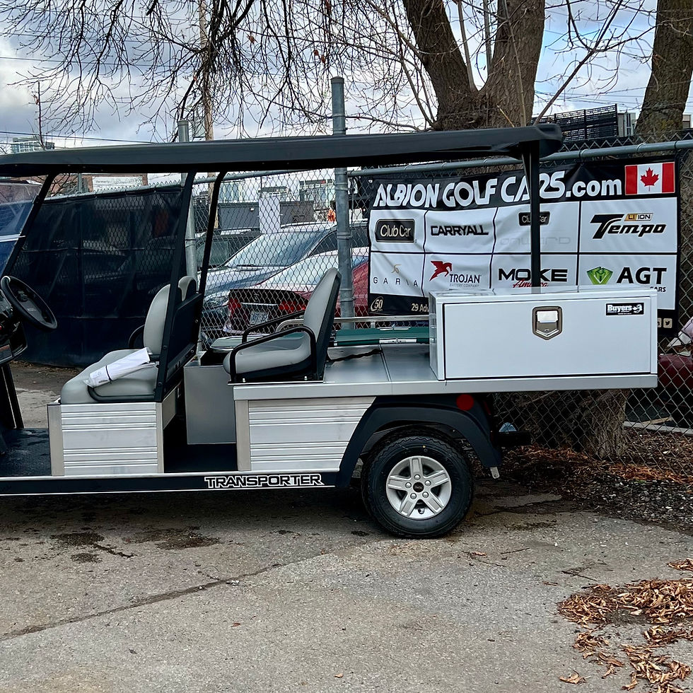 Thumbnail: 2026 CLUB CAR TRANSPORTER EMS - ELEC