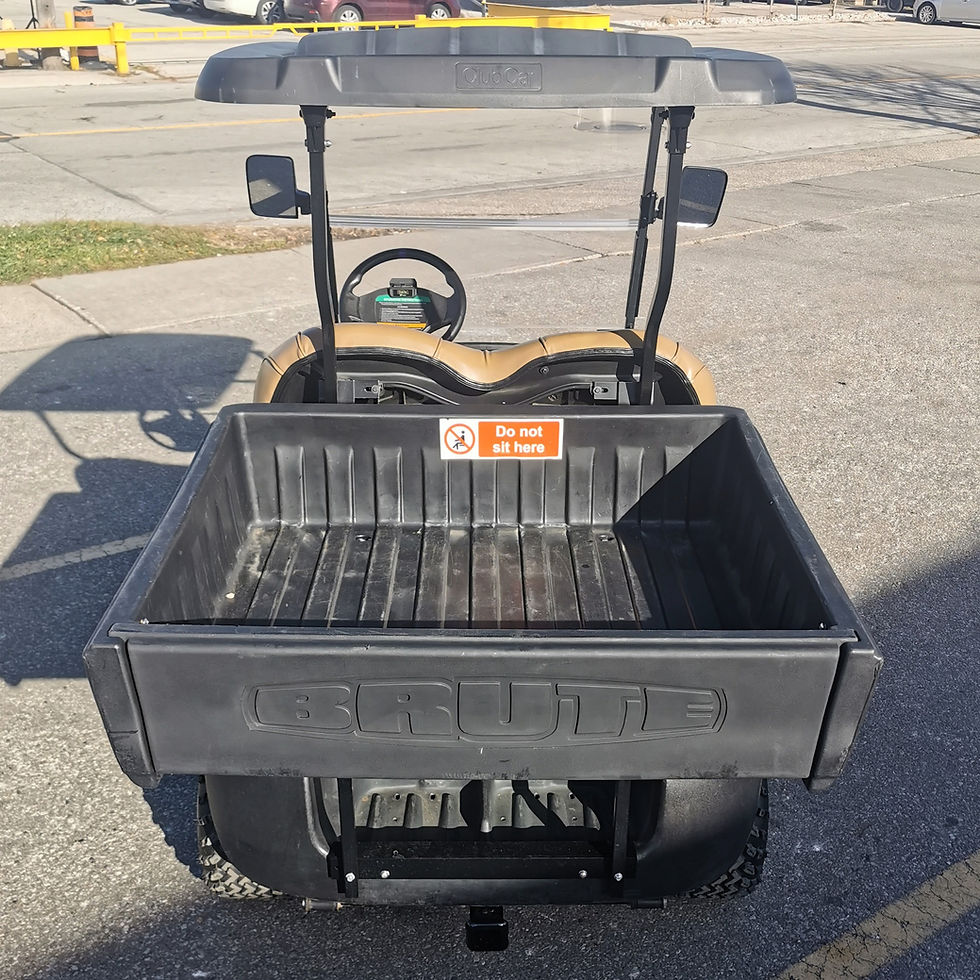 Thumbnail: REFURBISHED CLUB CAR TEMPO - LITHIUM