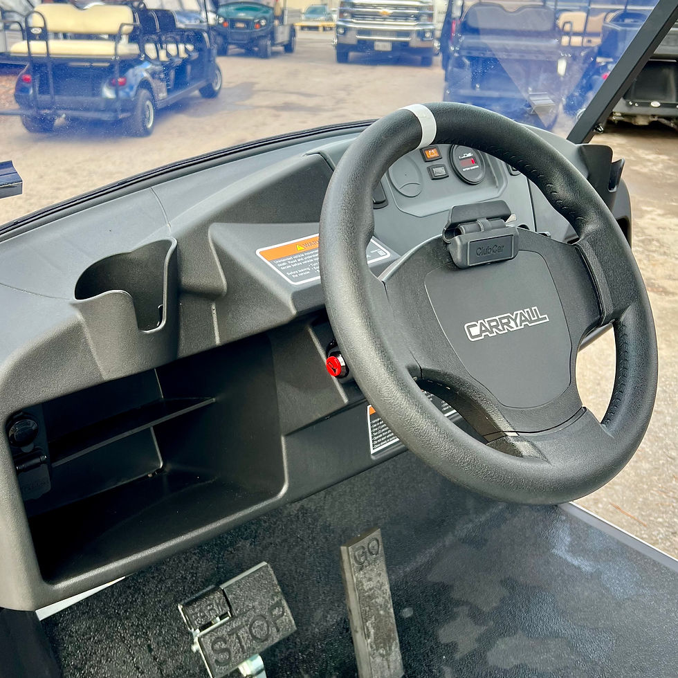 Thumbnail: 2026 CLUB CAR TRANSPORTER EMS - ELEC