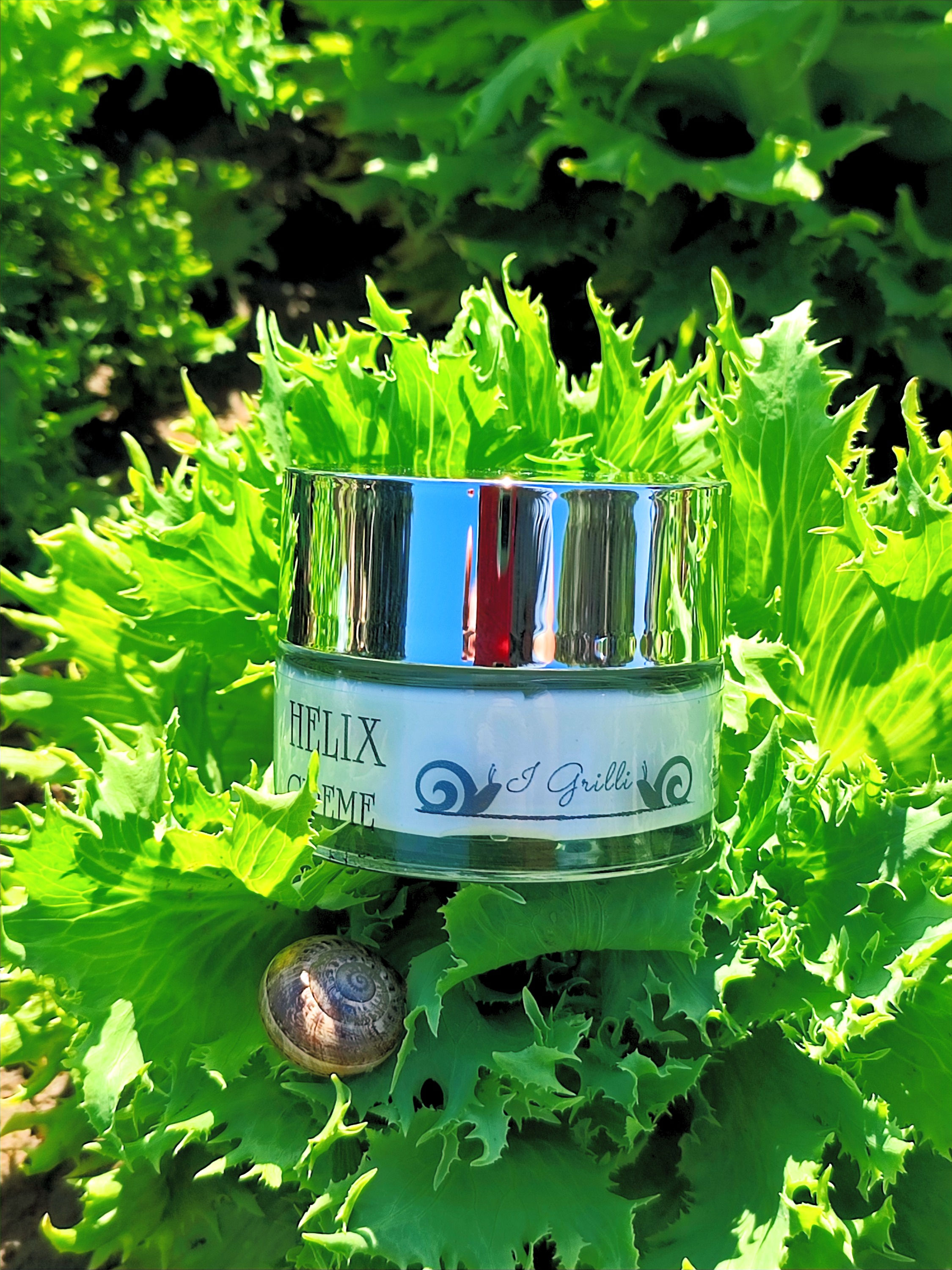 Helix Creame I Grilli