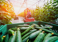 AdobeStock_211524626.jpeg
